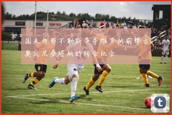 国米与那不勒斯争夺维罗纳前锋吉奥瓦尼桑塔纳的转会机会