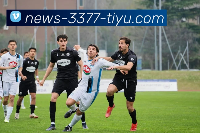 3377体育APP 封面图